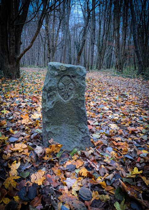 Run in the château park with Ti-Kitsune, photo 18