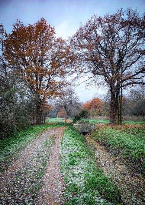 Run in the château park with Ti-Kitsune, photo 4