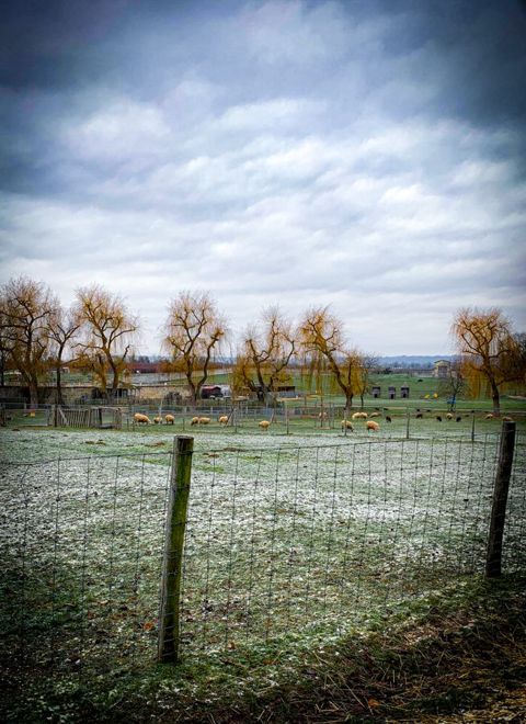 Run in the château park with Ti-Kitsune, photo 7