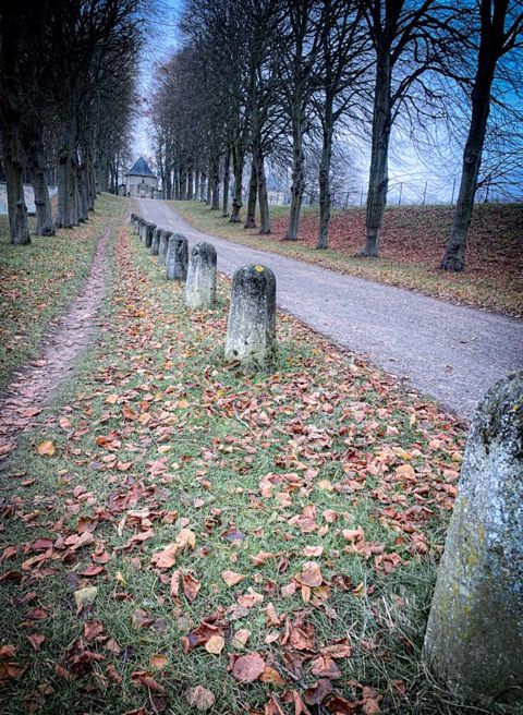 Run in the château park with Ti-Kitsune, photo 13