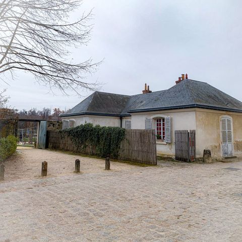 Run in the château park with Ti-Kitsune, photo 14