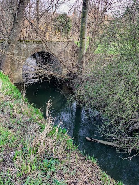 21 km run with Jumpy, Alsace, photo 10