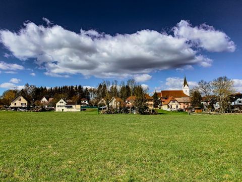 21 km run with Jumpy, Alsace, photo 8