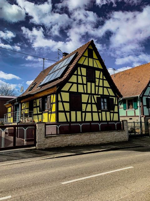 21 km run with Jumpy, Alsace, photo 5